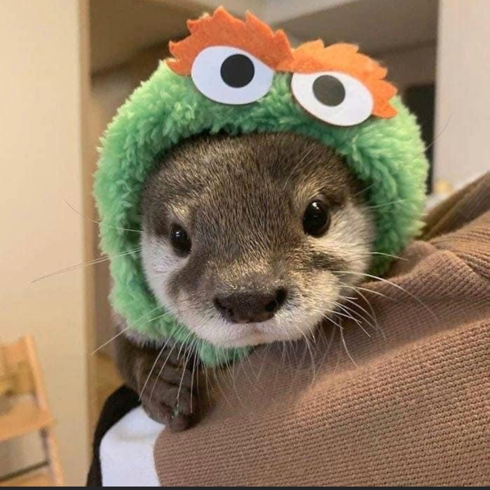 Make me an offer, it’s almost Halloween!